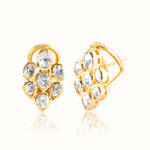 Aashi Earrings 3